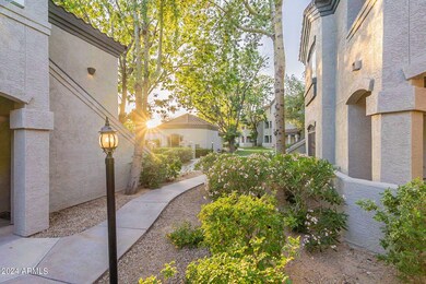 6-web-or-mls-Thompson-HD-6