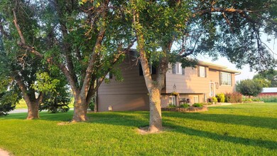 North View