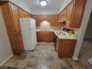 710 Hillcrest St unit 4, Baldwin, WI 54002 - photo 7