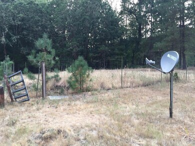 4918 Pleasant Creek Rd, Rogue River, OR 97537 - photo 4