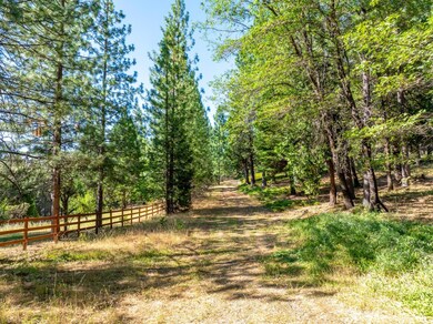 TBD Starkes Grade Rd, Pollock Pines, CA 95726 - photo 6