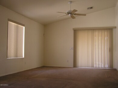 Vaulted Ceilings in Great Room
