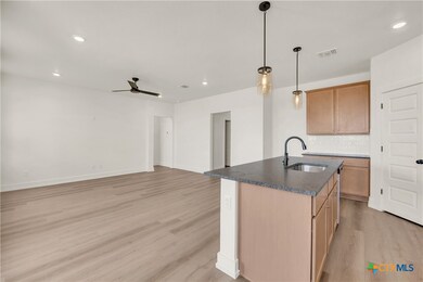 8909 Ponderosa Pine Rd, Temple, TX 76502 - photo 6