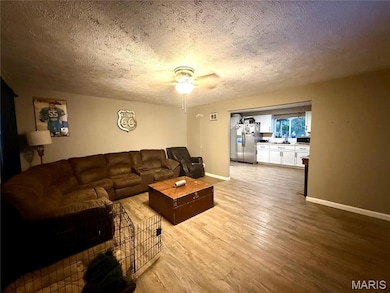 1702 S Maple St, Salem, MO 65560 - photo 3