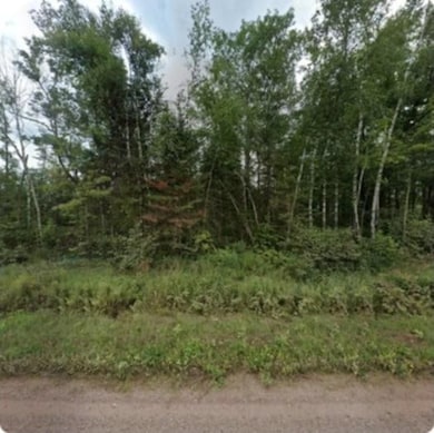 74095 Rutabaga Rd, New Dosey Township, MN 55072 - photo 3