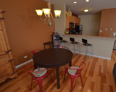 217 Springbrook Trail S, Oswego, IL 60543 - photo 6