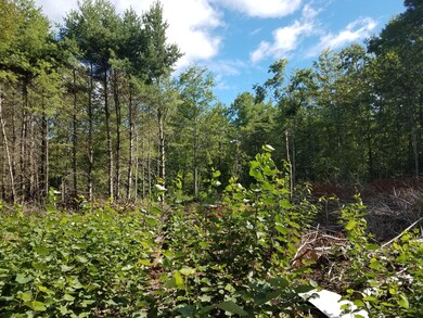 693 Bog Road