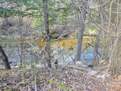 00 Valley Rd unit 6, Jefferson, NH 03583 - photo 5