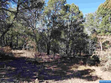 56 Vesuvius Way, Silver City, NM 88061 - photo 2