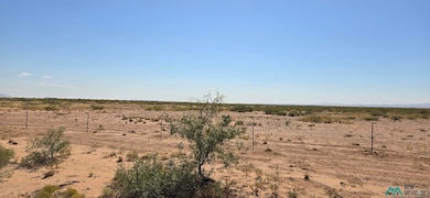 000 Hwy 418 SW, Deming, NM 88030 - photo 6