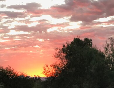 Suset views