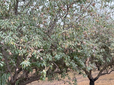 E Keyes Rd, Denair, CA 95316 - photo 5