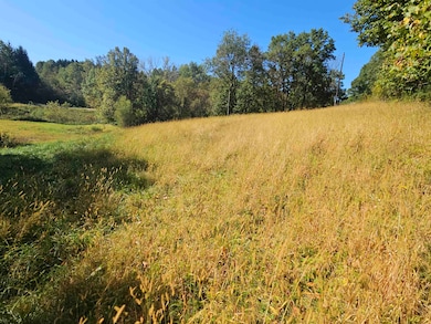 E9088 State Route 82 E, Viroqua, WI 54665 - photo 5