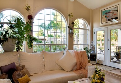 Living Room Windows