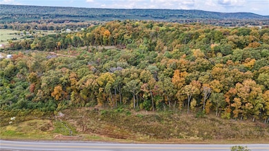 TRACT 4 - 13610 Arkansas 105, Hector, AR 72843 - photo 5