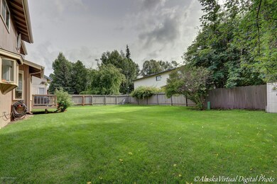Another View Of Backyard