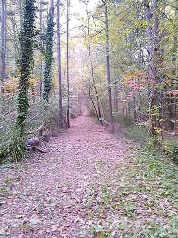 1405 Crowders Creek Rd, Gastonia, NC 28052 - photo 5