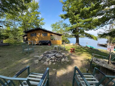 7290 W Anderson Isle, Cook, MN 55723 - photo 4