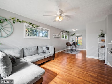 813 W 14th St, Front Royal, VA 22630 - photo 4