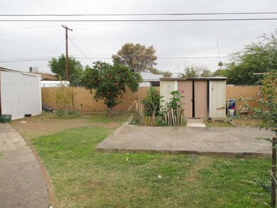 06 Backyard