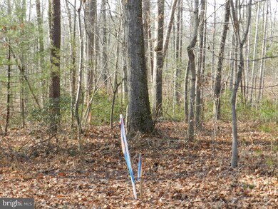 2 Hart Ct, Culpeper, VA 22701 - photo 2