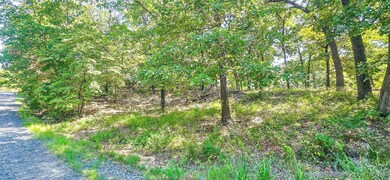 6 Pecan, Eufaula, OK 74432 - photo 7