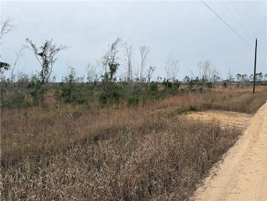 9.22 Rhine Rd, Alma, GA 31510 - photo 4