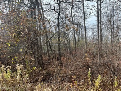 0 N Myers Rd unit 5085947, Geneva, OH 44041 - photo 2