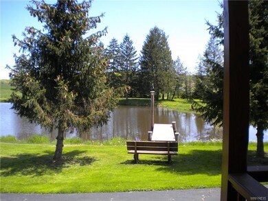 Large stocked pond.