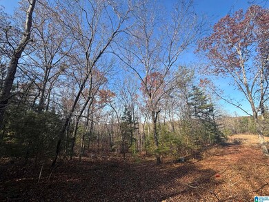0 Smith Ln, Talladega, AL 35160 - photo 7