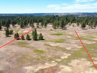 00 N Hayford Rd, Spokane, WA 99224 - photo 5