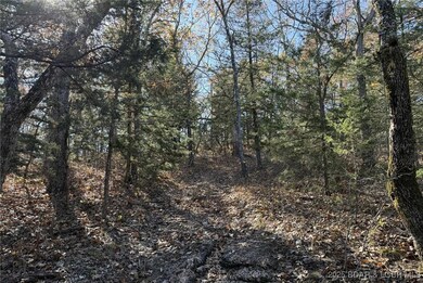 11.8 Acres Whitetail Way, Cole Township, MO 65338 - photo 6