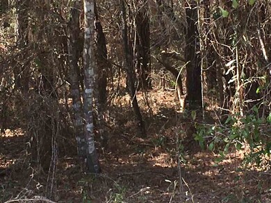 0 Coastal Highway 98 Hwy unit 305928, Crawfordville, FL 32327 - photo 3