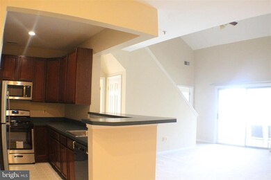 11337 Westbrook Mill Ln unit 302, Fairfax, VA 22030 - photo 6