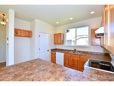 905 Milner Pass Rd, Severance, CO 80550 - photo 5