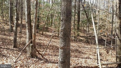 25191 Oxford Rd, Ruther Glen, VA 22546 - photo 5