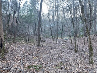 0000 Mallard Rd unit 357, Lake Lure, NC 28746 - photo 5