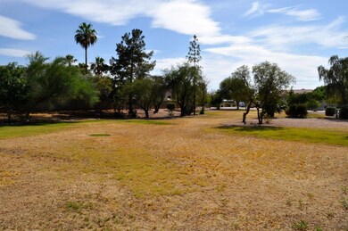 Picture of Lot