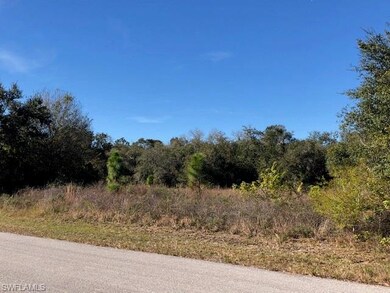 1719 Jefferson Ave, Lehigh Acres, FL 33972 - photo 4