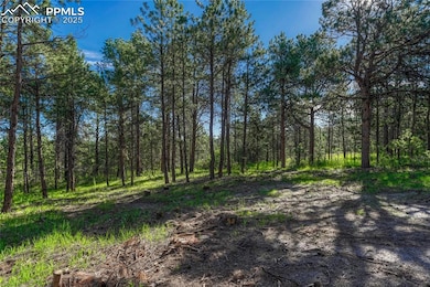 19953 Vista Clara Ln, Monument, CO 80132 - photo 7