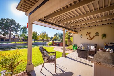 Backyard oasis