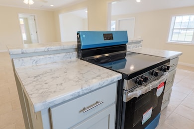 2 Berrien Ave, Lakeland, GA 31635 - photo 4