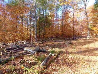 Lot 12 Dick Brown Rd, Bristol, NH 03222 - photo 2