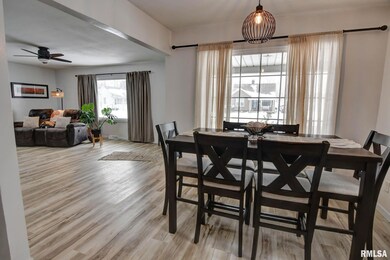 904 W Vandever St, Taylorville, IL 62568 - photo 4