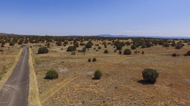 DJI_0004