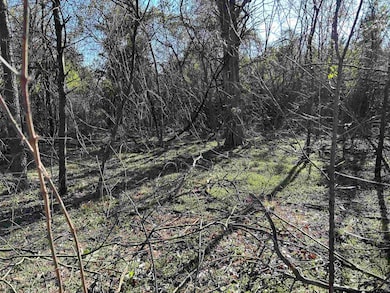 TBD County Road 3324, Pittsburg, TX 75686 - photo 3