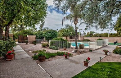 Back Yard 2