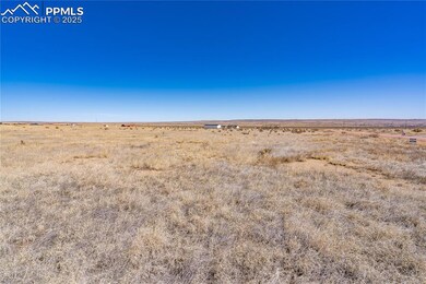 View of local wilderness featuring a rural view