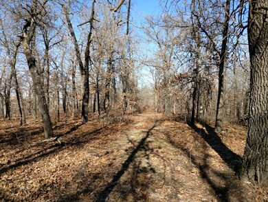 IMG_20190108_112553484