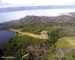 Tr A1-6 Pomeroy Rd, Homer, AK 99603 - photo 2